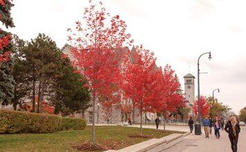 加拿大女王大学本科生和研究生招生介绍