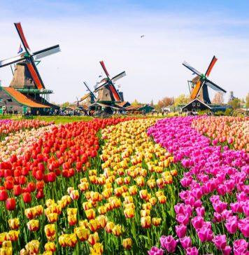 留学荷兰:学费和奖学金