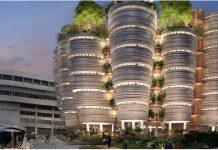 SP集团与新加坡国立大学共同开展了3000万新元的研究和教育计划