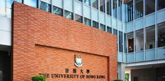 为什么选择在香港大学工作?