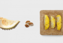 新加坡国立大学工业设计毕业展的奇思妙想