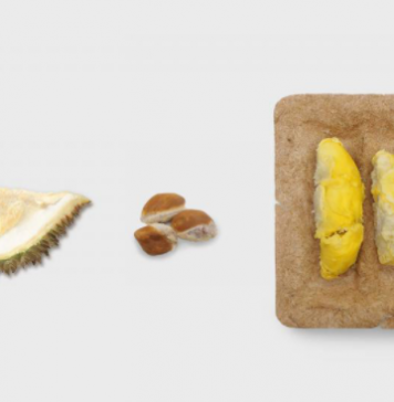 新加坡国立大学工业设计毕业展的奇思妙想