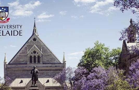 留学生的故事: Alina在澳大利亚阿德莱德拥有想象不到的逆转人生