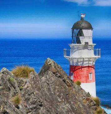 新西兰教育部长宣布留学生11月可以入境