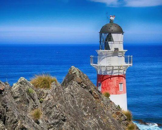 新西兰教育部长宣布留学生11月可以入境