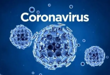 西媒:拉美百万儿童或因新冠疫情永久辍学