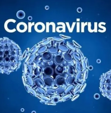 哈佛大学惊人发现:新冠对人类未来影响巨大