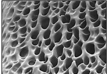 美国化学学会新闻发布:南京大学化院沉群东和医学院朱泽章-帮助修复受损神经的水凝胶