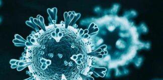 美国新冠肺炎确诊病例超1335万 纽约市准备重新开放学校