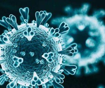 美国新冠肺炎确诊病例超1335万 纽约市准备重新开放学校