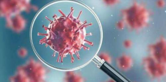 美国单日确诊超40万 7天死亡1.8万,国际留学生该何去何从?