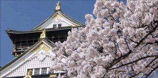 日本留学新闻篇:上千大学生因疫情辍学,日本政府决定扩大对学生支援