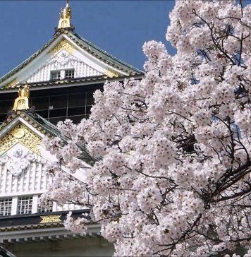 日本留学新闻篇:上千大学生因疫情辍学,日本政府决定扩大对学生支援