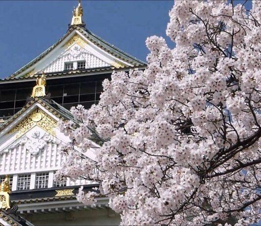 日本留学新闻篇:上千大学生因疫情辍学,日本政府决定扩大对学生支援