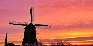 2021留学荷兰怎么选择适合自己的专业和学校