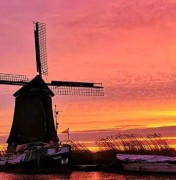 2021留学荷兰怎么选择适合自己的专业和学校