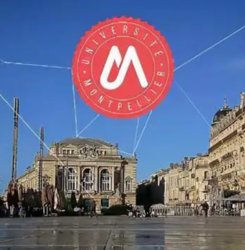 什么是DBA?法国蒙彼利埃大学DBA项目含金量怎么样?