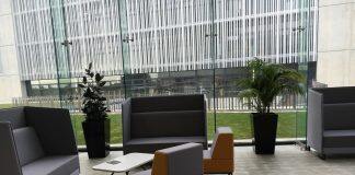 理性对比!新西兰和澳洲留学居然如此大不相同!