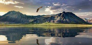 新西兰教育部为教育系统设定方向!明确规定八个优先事项!