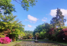 官方权威解说目前形势下的新西兰留学