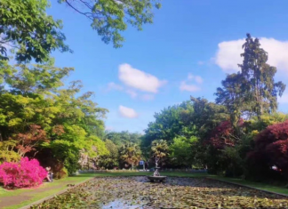 官方权威解说目前形势下的新西兰留学