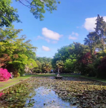 官方权威解说目前形势下的新西兰留学