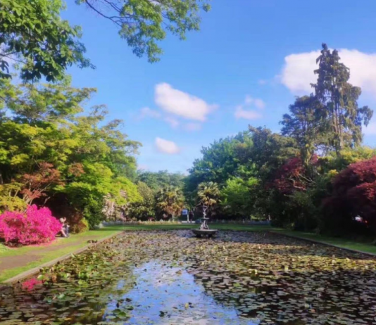官方权威解说目前形势下的新西兰留学