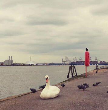 留学英国|排名不高,但专业很牛的英国大学有哪些?