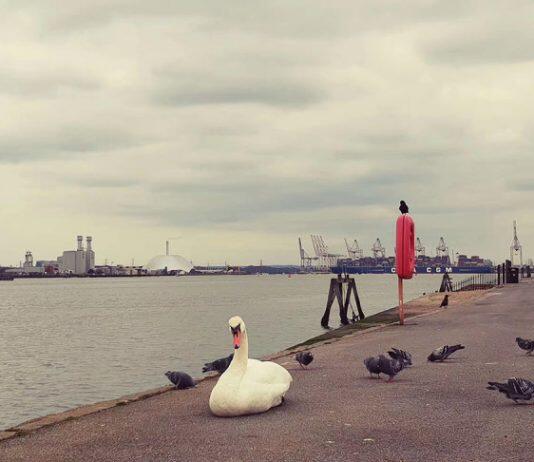 留学英国|排名不高,但专业很牛的英国大学有哪些?