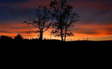 留学新西兰:想知道新西兰研究生怎么申请吗?