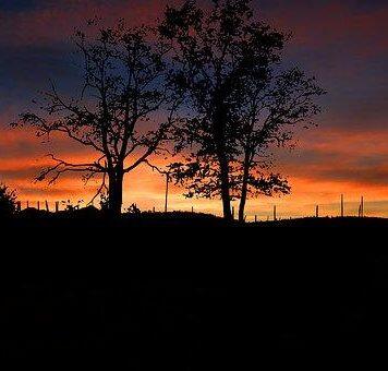 留学新西兰:想知道新西兰研究生怎么申请吗?