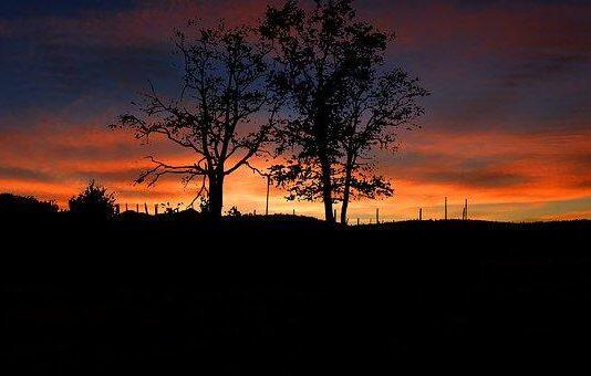 留学新西兰:想知道新西兰研究生怎么申请吗?