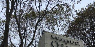 特大好消息,新西兰这几所院校可免雅思!