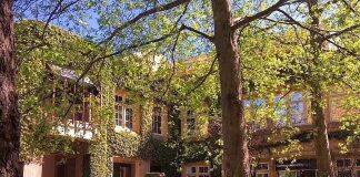 留学干货韩国大学3月和9月入学有什么不同?