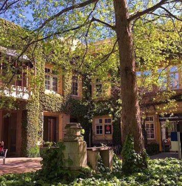 留学干货韩国大学3月和9月入学有什么不同?