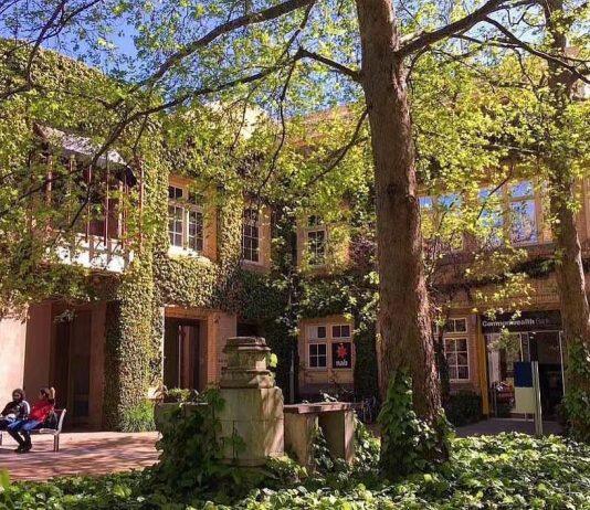 留学干货韩国大学3月和9月入学有什么不同?