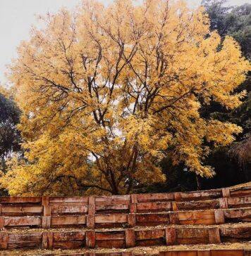 留学马来西亚,商科专业该怎么选?