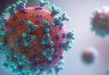 出国留学的又一个挑战:芬兰发现一种新的变异新冠病毒