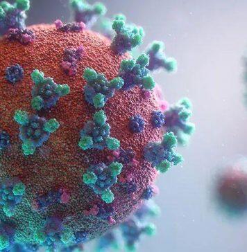 出国留学的又一个挑战:芬兰发现一种新的变异新冠病毒