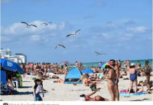 美国大学生不顾COVID-19大流行的持续,仍然坚持庆祝春假