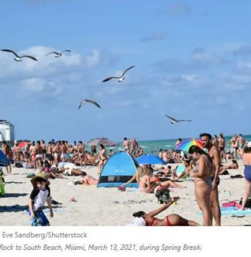 美国大学生不顾COVID-19大流行的持续,仍然坚持庆祝春假