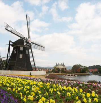 想去荷兰留学的四大理由