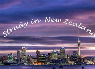 新西兰教育新闻:新西兰本地学生数量激增