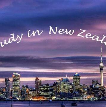 新西兰教育新闻:新西兰本地学生数量激增