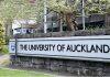 新西兰奥克兰大学的世界排名