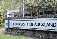 新西兰奥克兰大学的世界排名