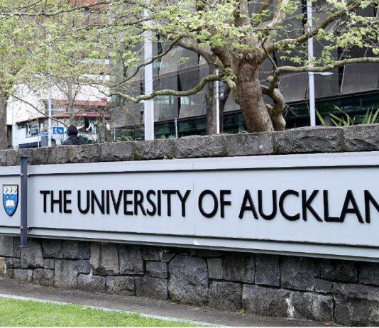 新西兰奥克兰大学的世界排名