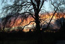 英国留学读书必看:英国教育的特点