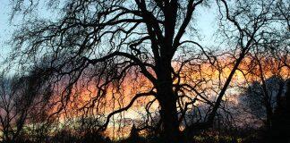 英国留学读书必看:英国教育的特点