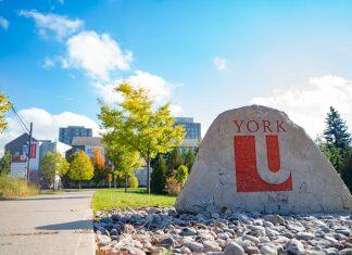 加拿大约克大学无语言双录取AP+YUB/AP+PDY 项目